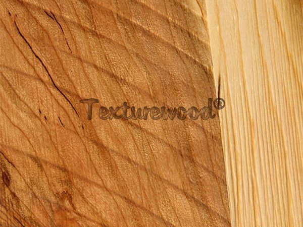 3D Texture Cherry Wood1-600x450