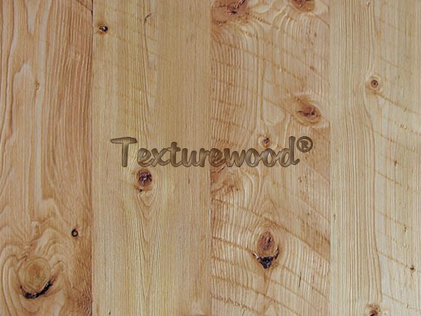 3D Texture Douglas Fir Wood Sample-600x450