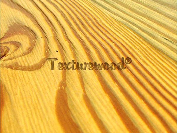 Southern-Yellow-Pine-Wire-Brushed-1-Texture-600x450