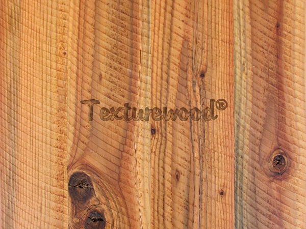 Trestlewood-Circle-Sawn-1-Sample-600x450