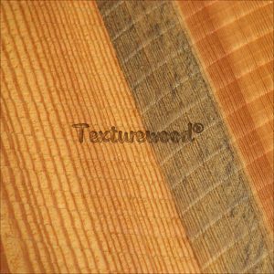 Southern Yellow Pine w/ Circle Sawn Texture